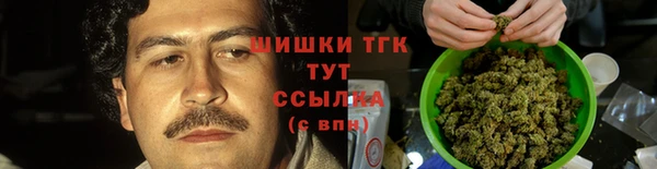 амф Белокуриха