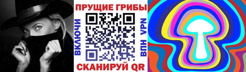 купить наркотик  Плёс  Галлюциногенные грибы MAGIC MUSHROOMS 