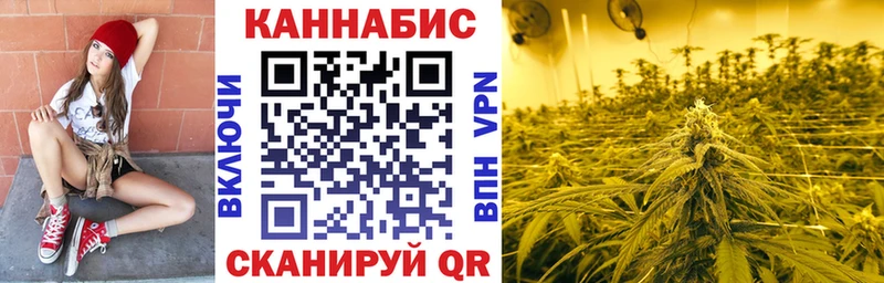 Конопля планчик Плёс